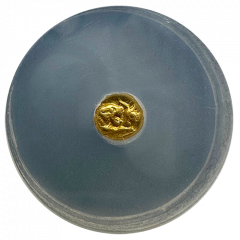Lydia Croesus Gold 24th-Stater | Heavy Series | Extremely Fine 5x5 | Obverse