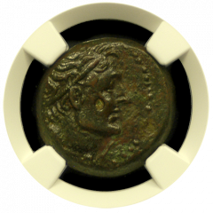 Ptolemy III Bronze Cyrene NGC XF 4x3